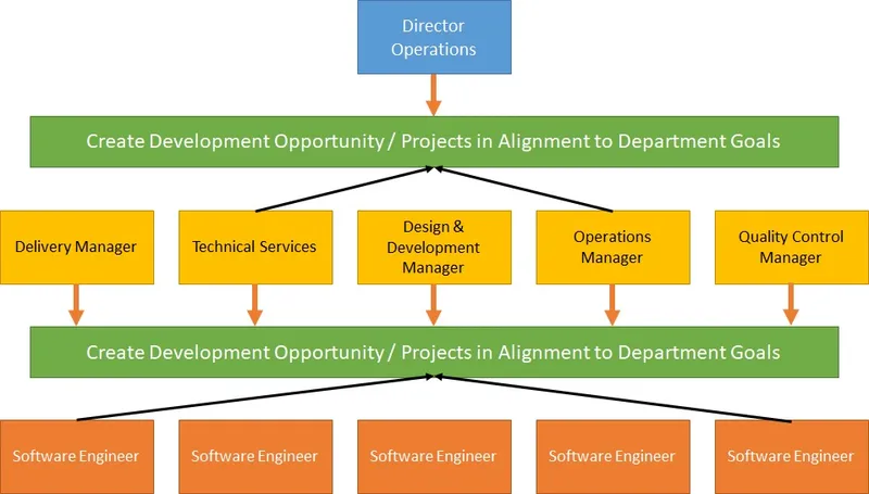 Org Design Process