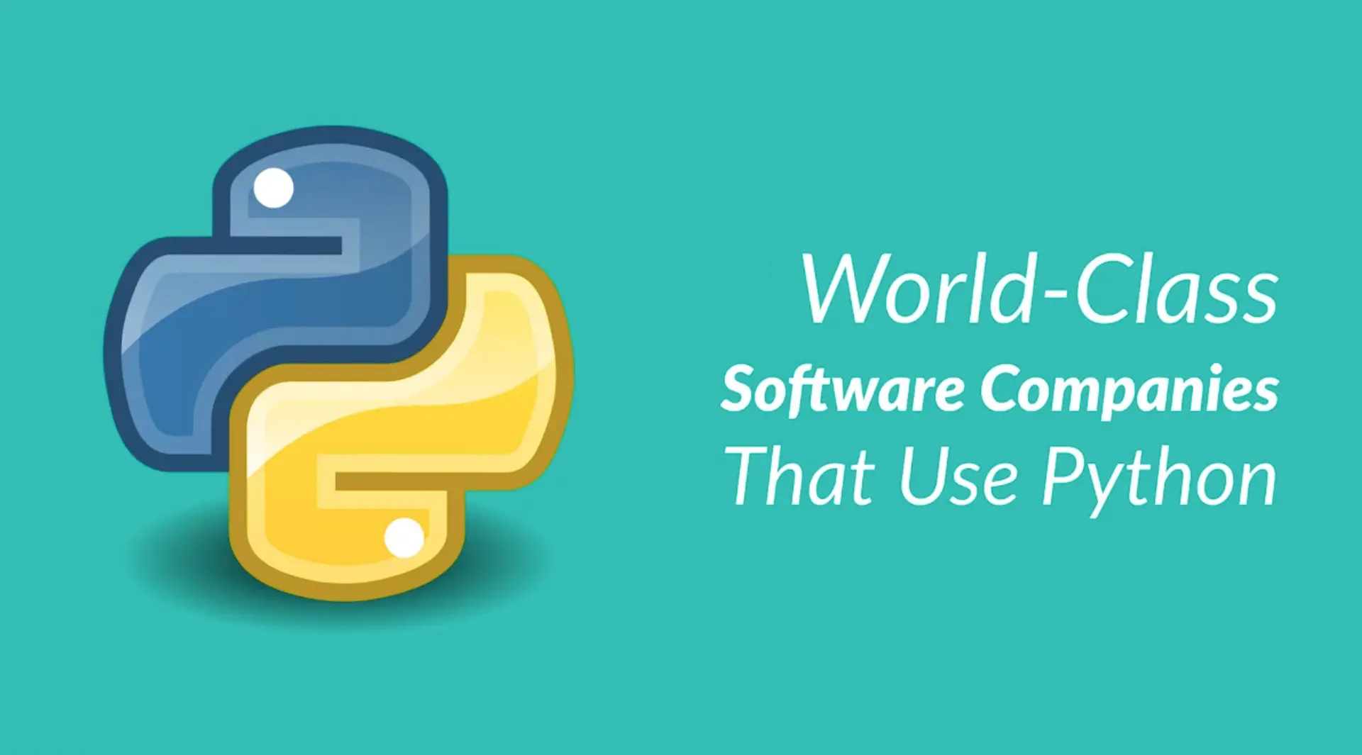 Python Development Companies In United States Of America