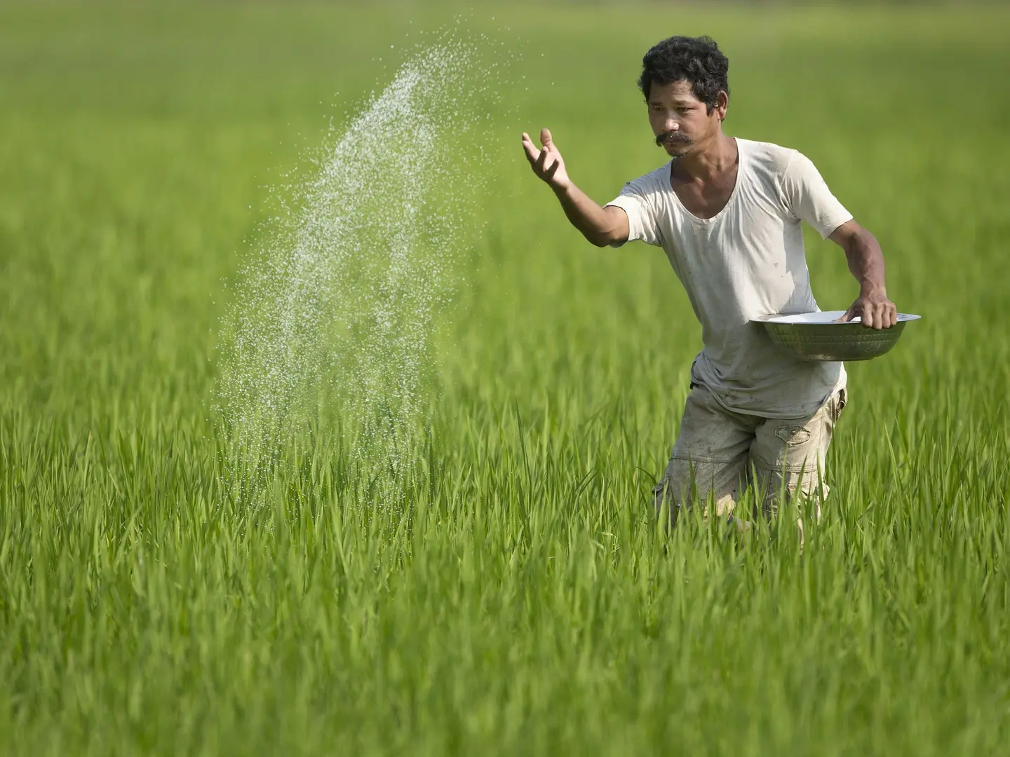 Biometrics - A Boon for Farmers