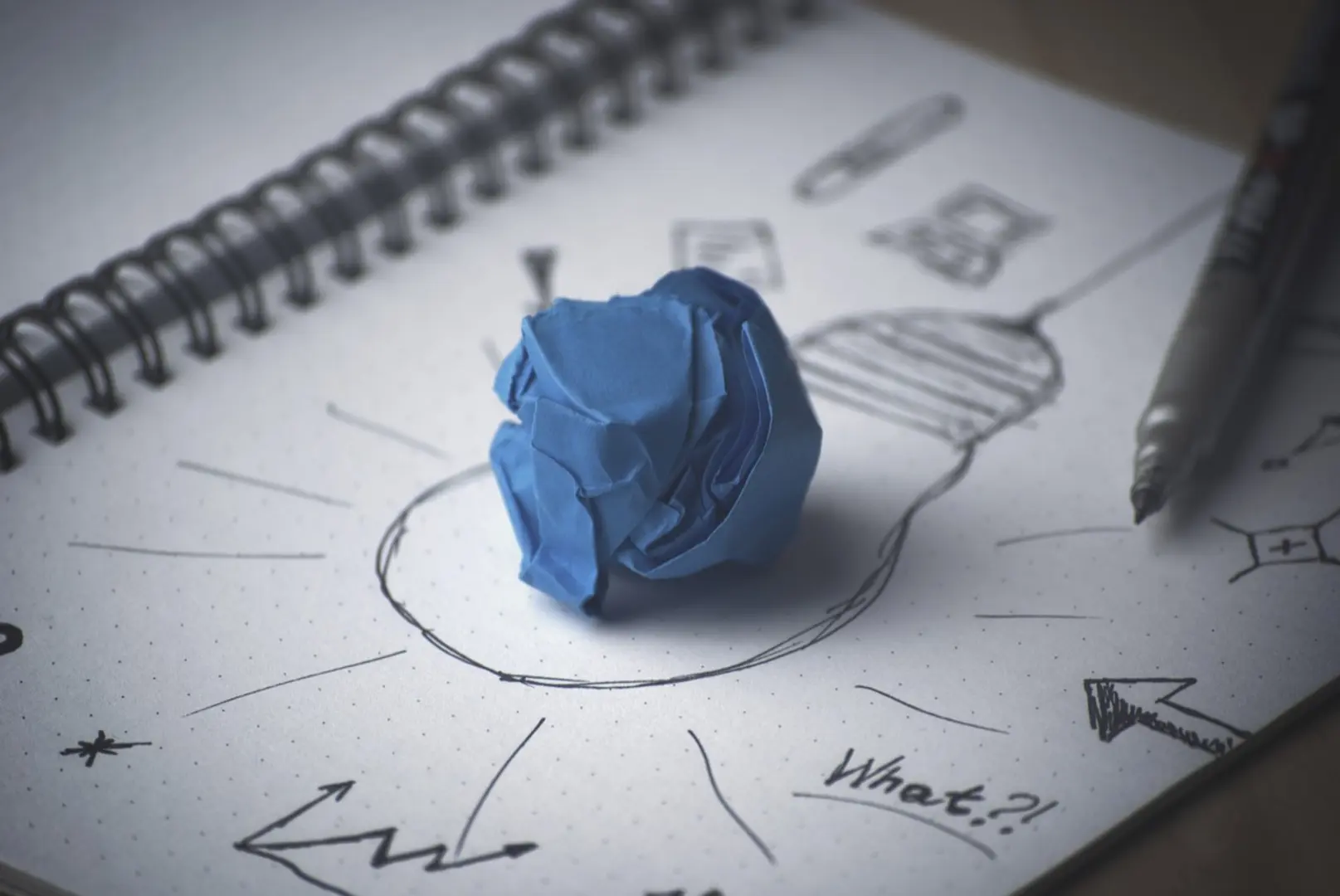 6 Business ideas to Explore in the Booming eCommerce Industry