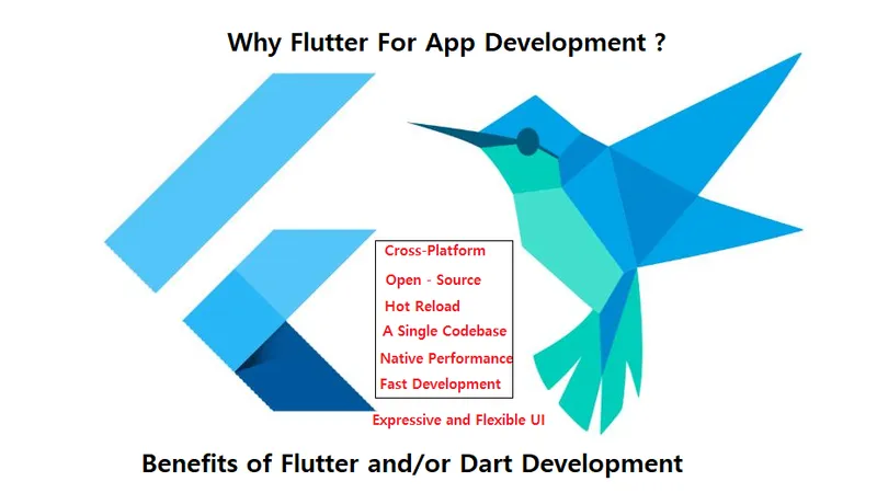 Flutter Development Details