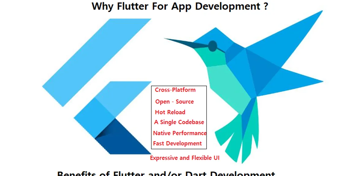 Why Flutter App Development?