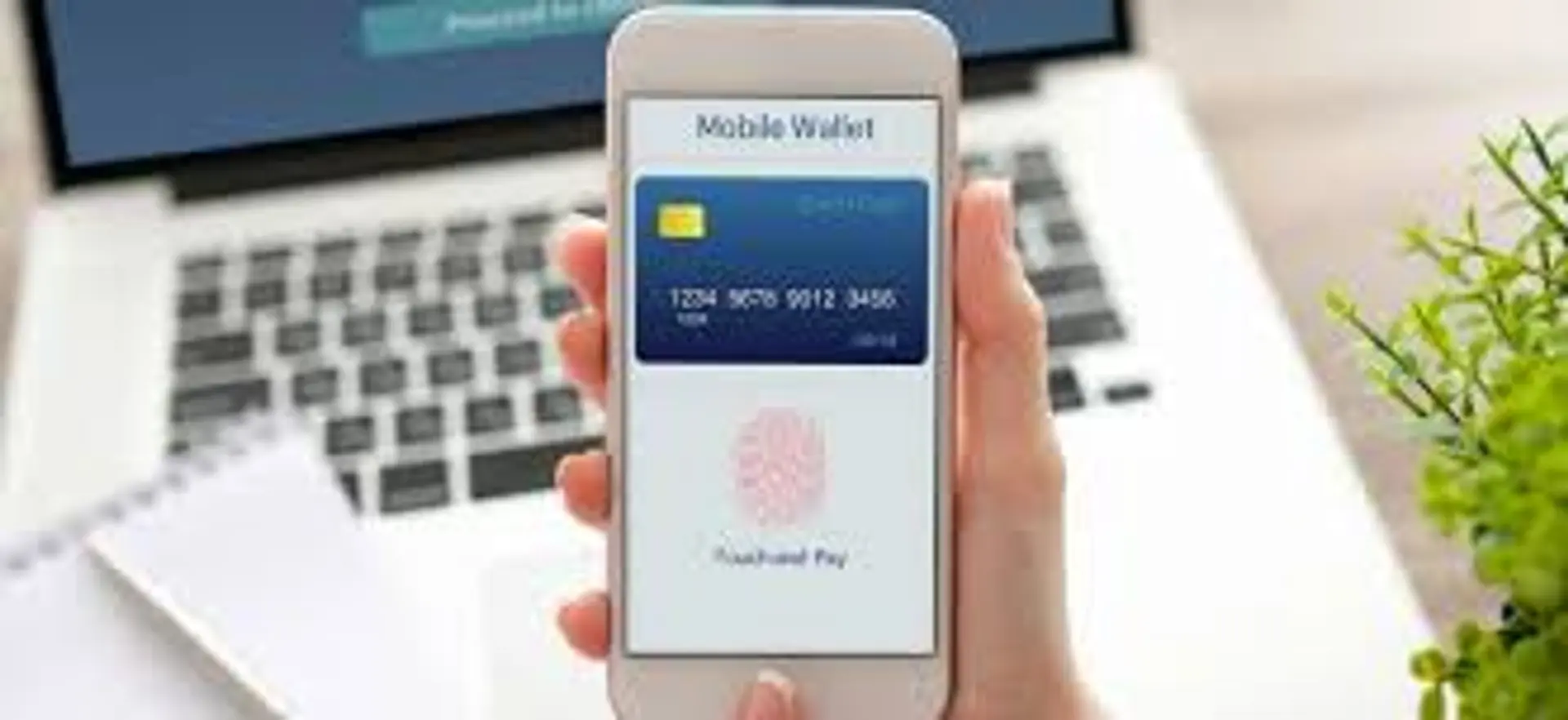 eWallets & Mobile Payments - the methods to pay with a smartphone