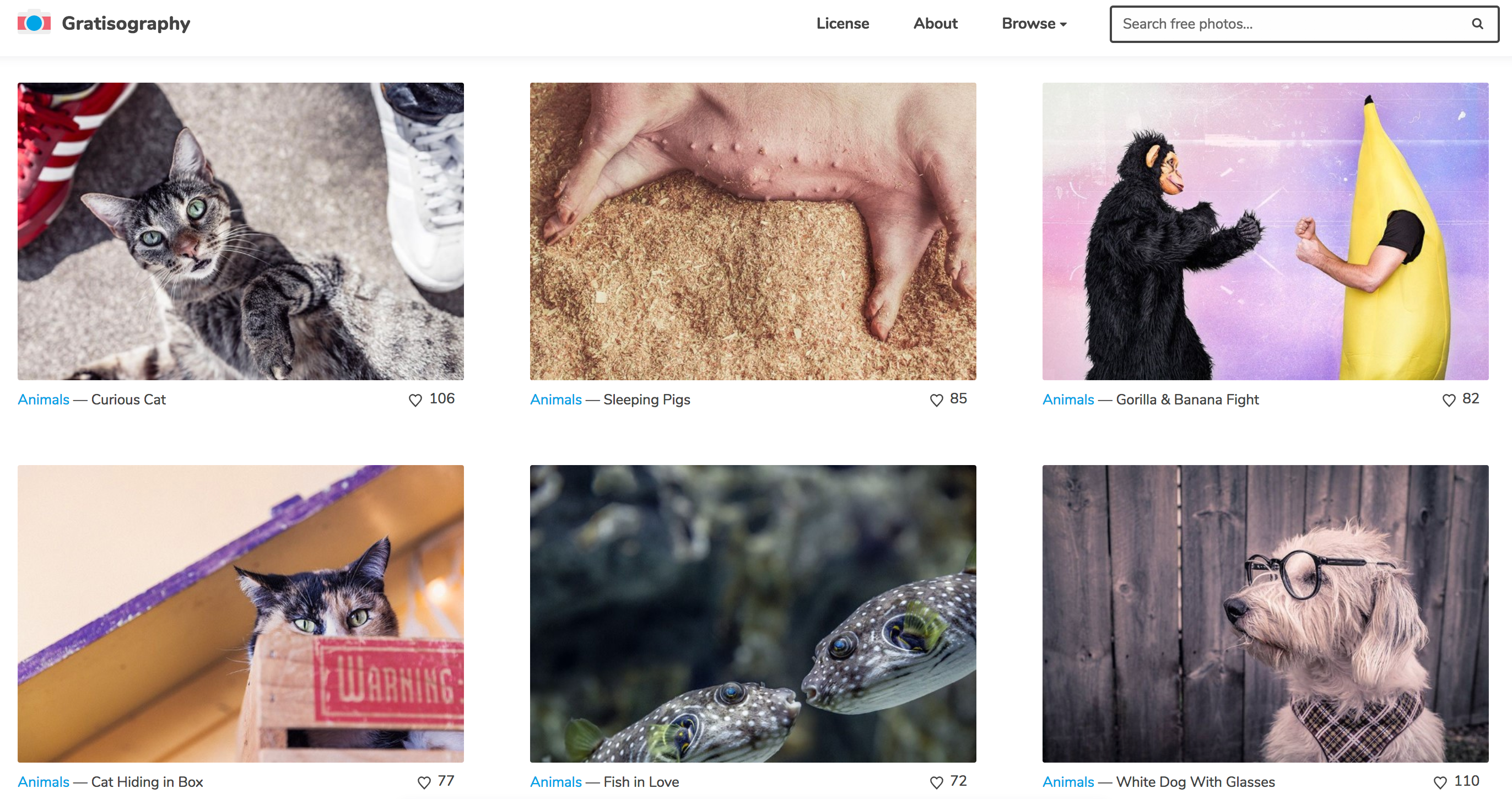 Gratisography: Web Project, Photography Resource, by Ryan McGuire