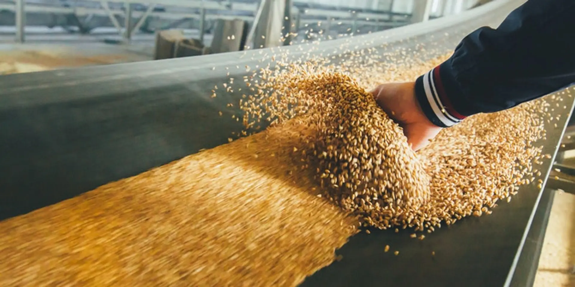 Digital Transformation in the Food and Beverage Industry