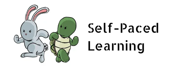 Self Paced Learning
