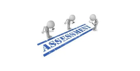 Online assessment techniques