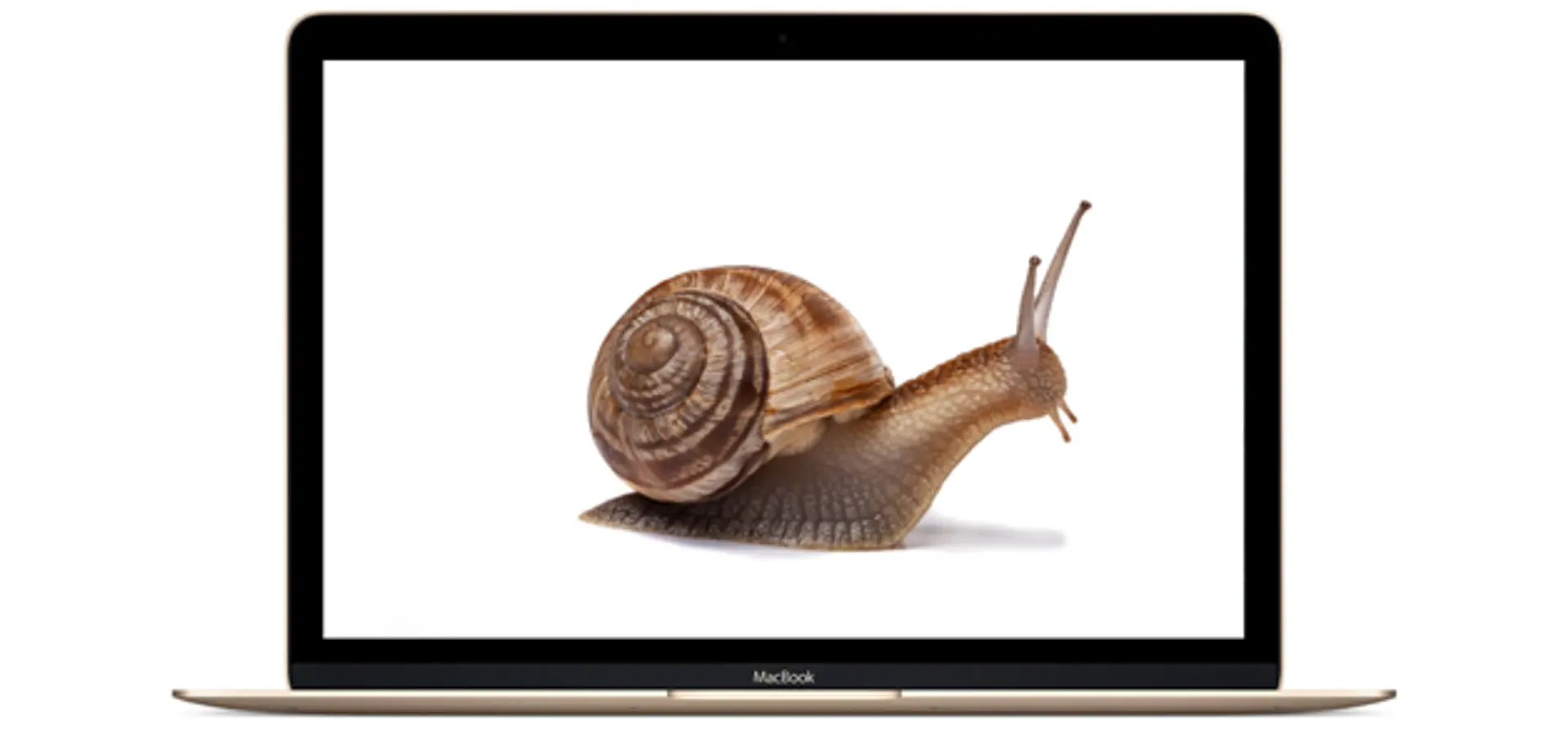 How To Troubleshoot A Slow Mac