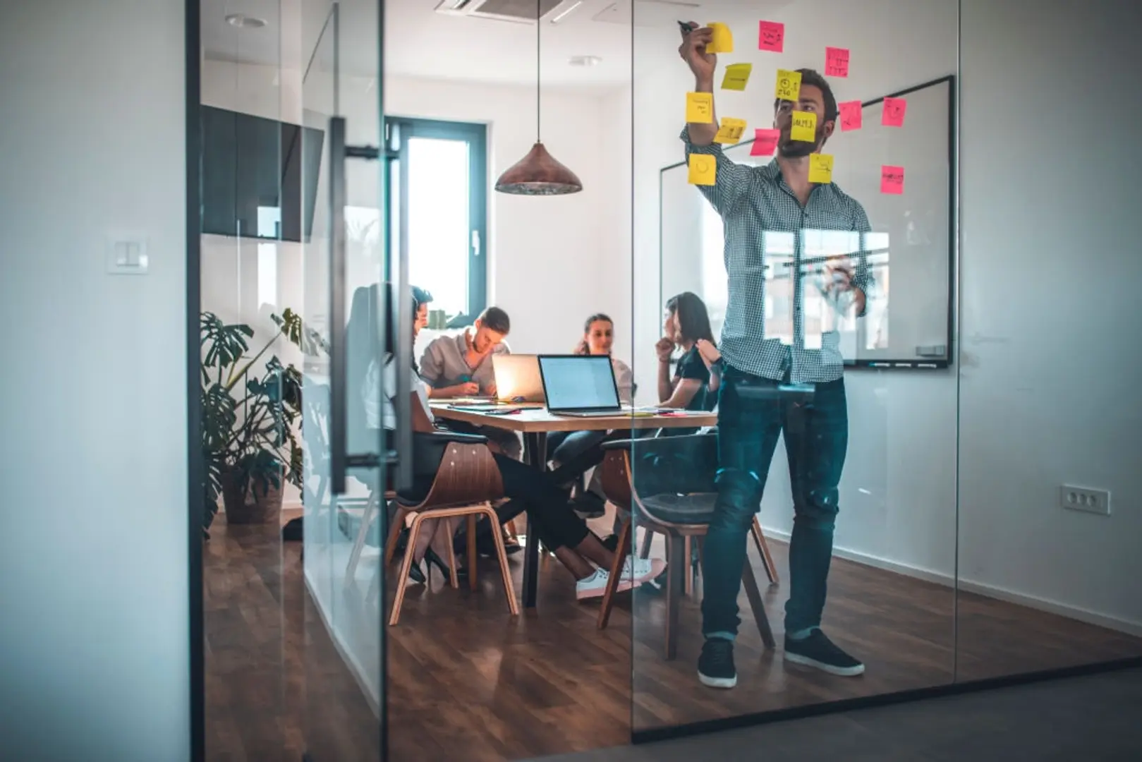 The Top Software's for Entrepreneurs in 2020