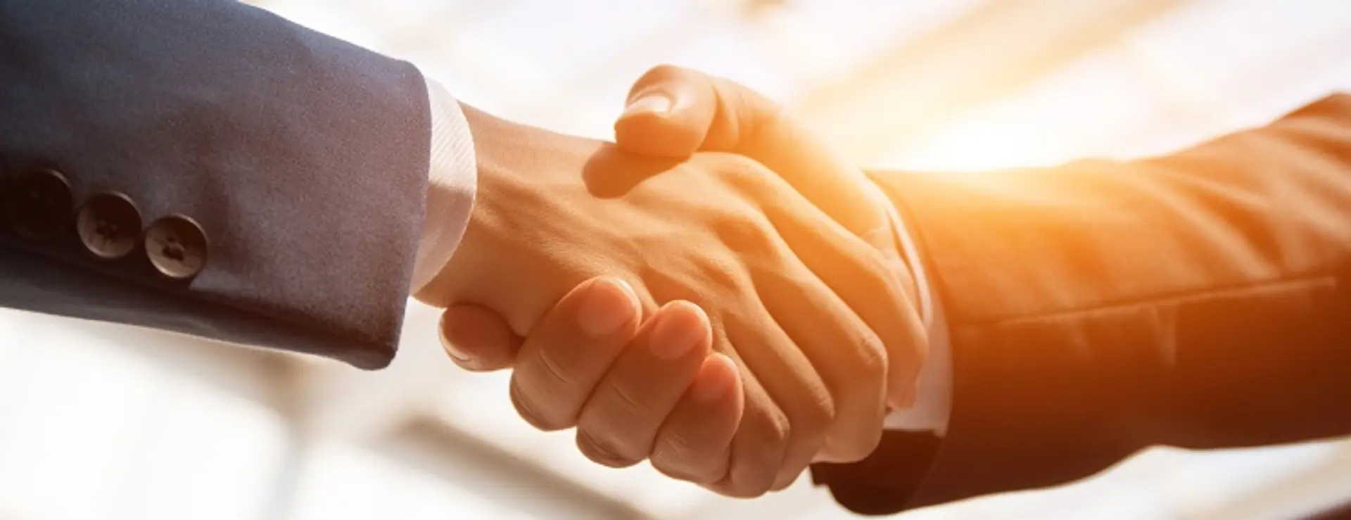 7 Basic Tips for choosing a Right Business Partner