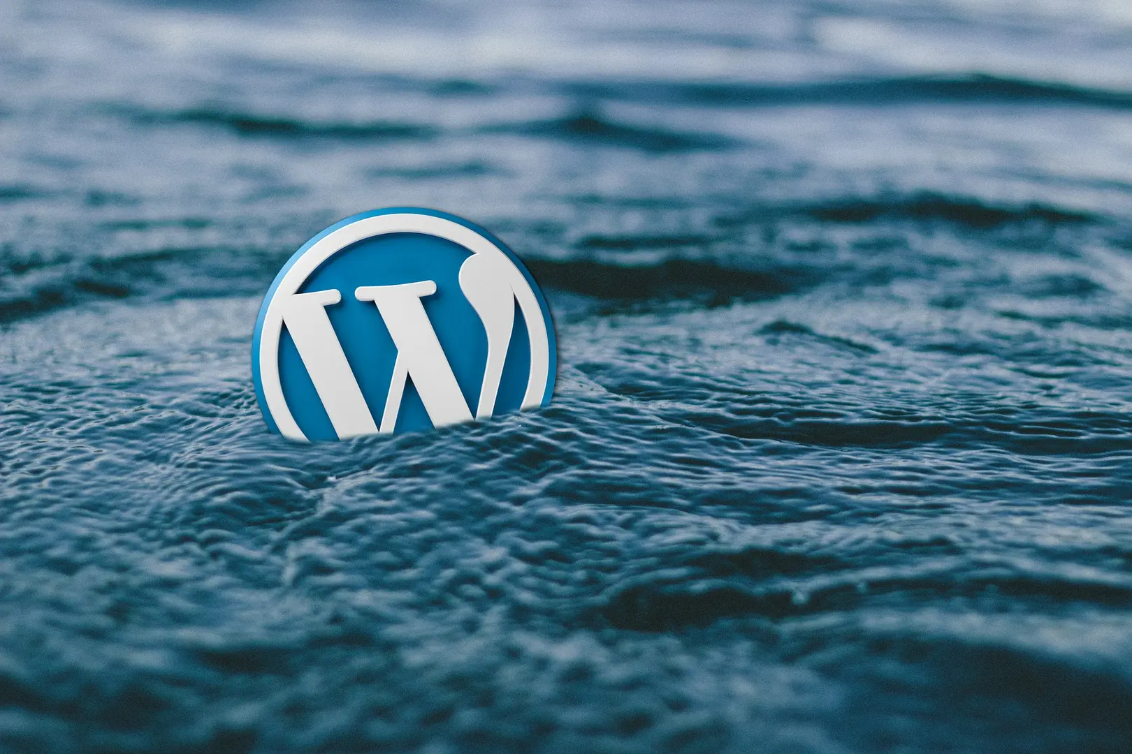 8 Best WordPress Caching Plugins For Faster Websites