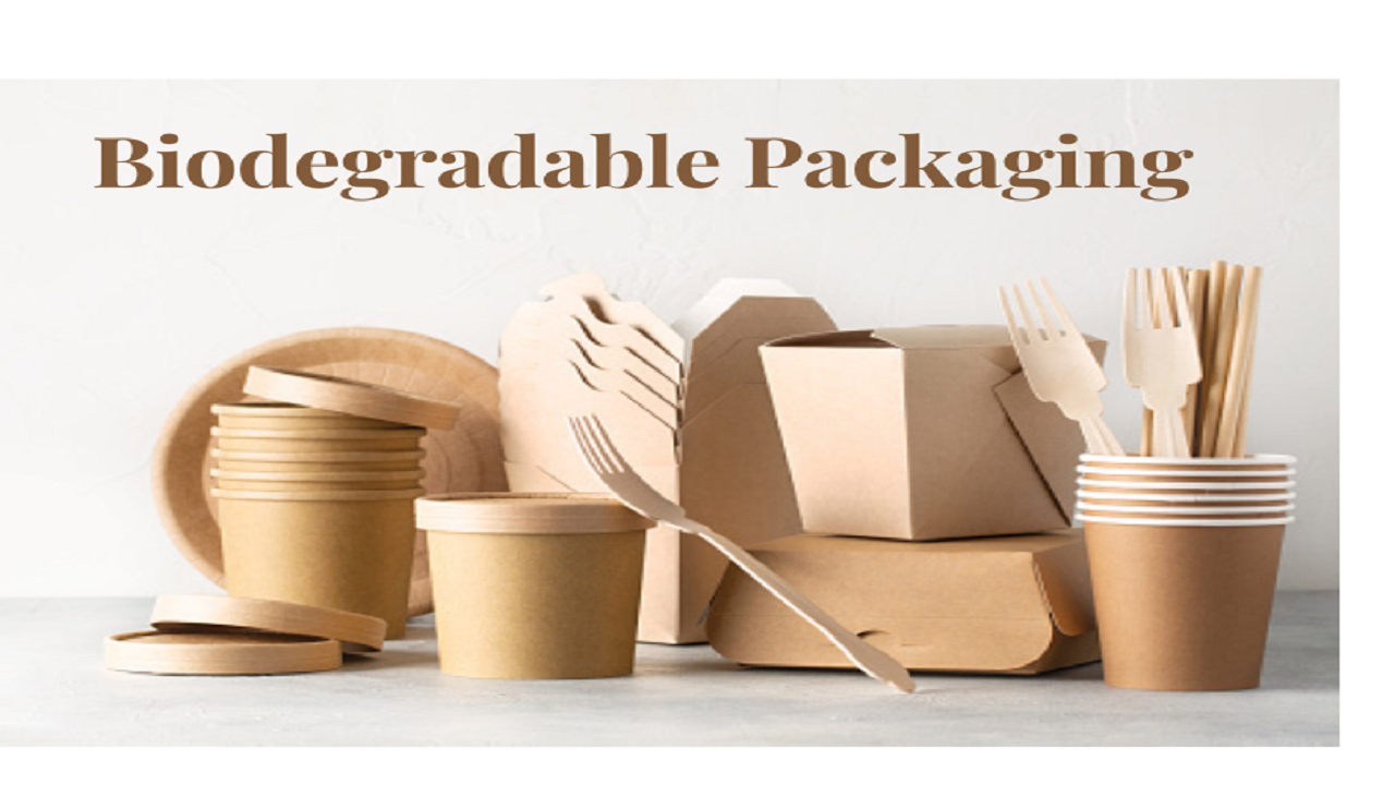 Biodegradable Packaging: The Sustainable Alternative To Plastic