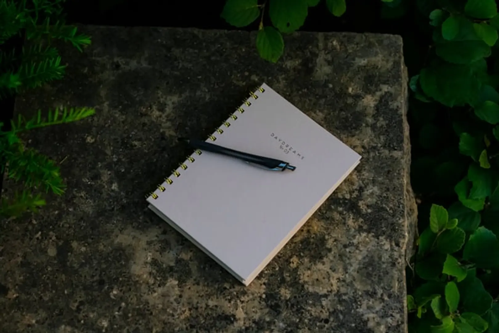 Things You Must Know Before Hiring a Freelance Writer