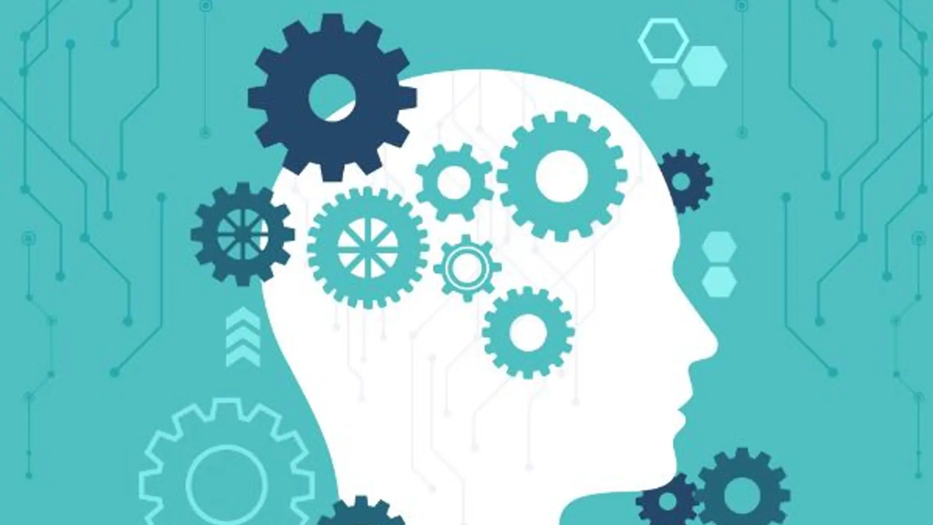 Building AI Ready Organization