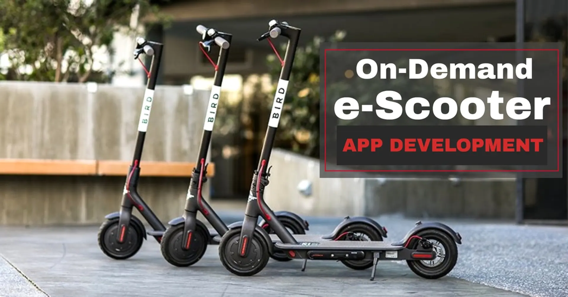 Becoming the Leader of the On-demand e-Scooter App Development