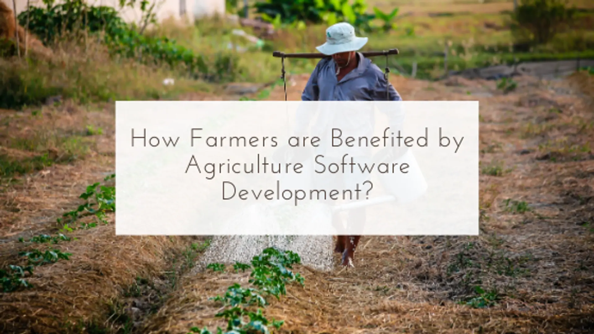 How Farmers Are Benefited By Agriculture Software Development?