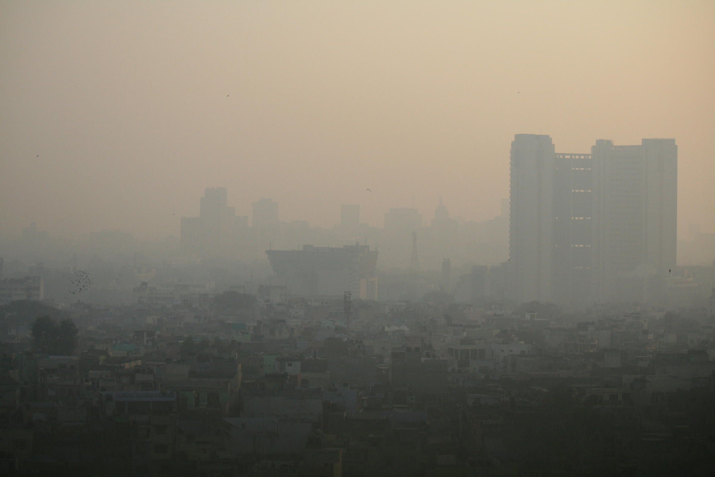 Air pollution management: Delhi to get 'green' funds under NCAP, 1st time since it began