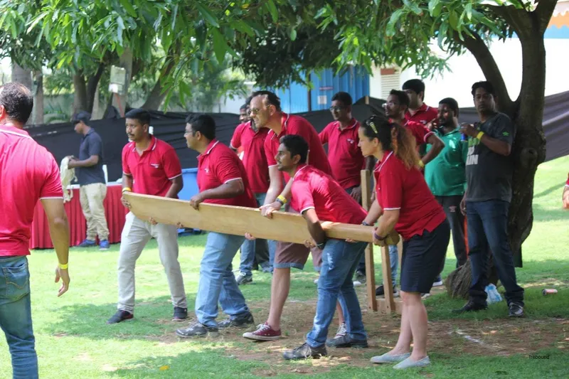 Jumbo cricket team building activity