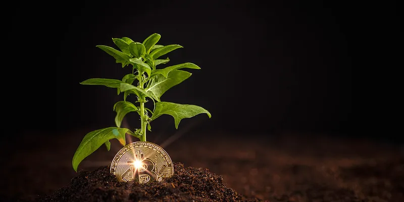 Mohsin Jameel - Know the goal of investing in Cryptos