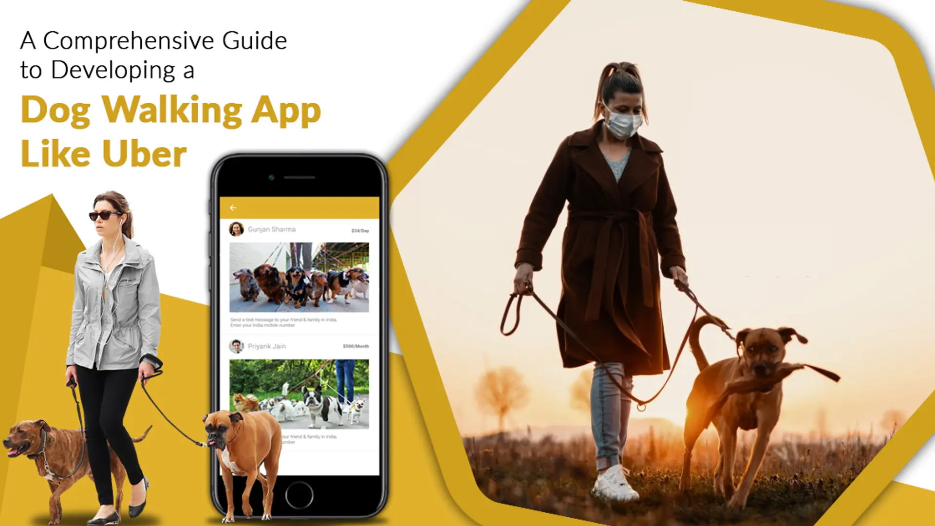 A comprehensive guide to developing a dog walking app like uber