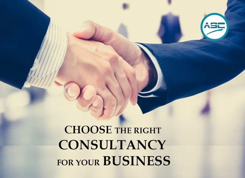 Business consultants