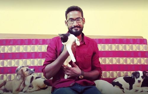 Meet the vet who helps abandoned and stray pets find a new home!