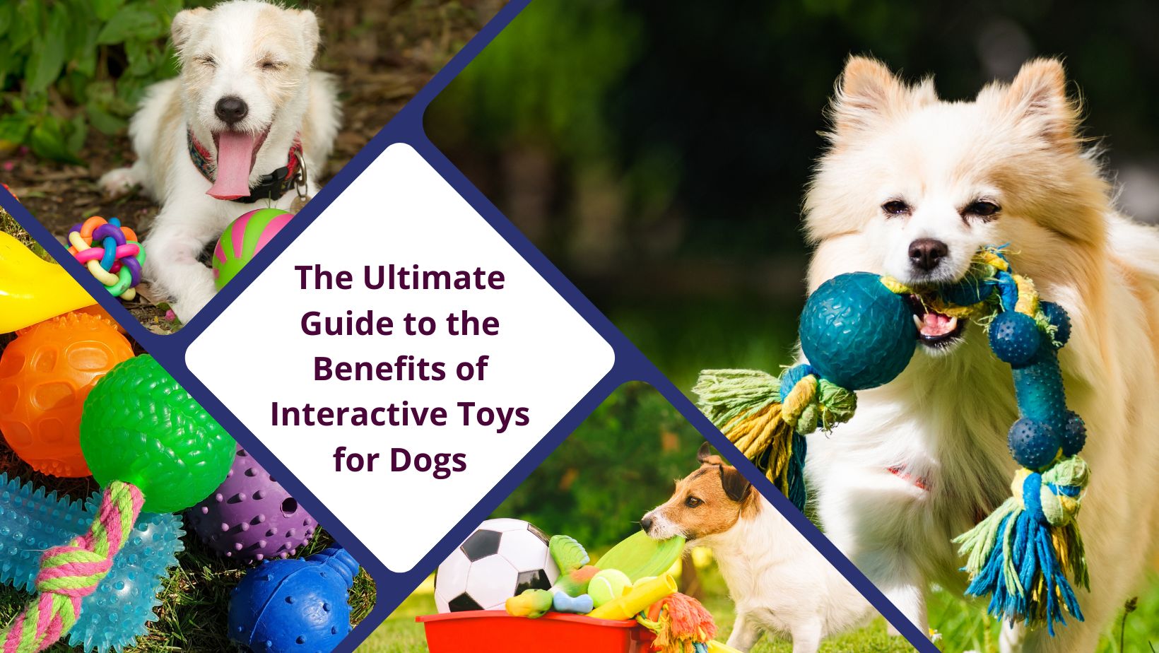 The Complete Guide to the Advantages of Interactive Dog Toys