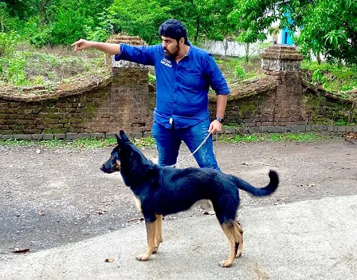 Aditya Modak