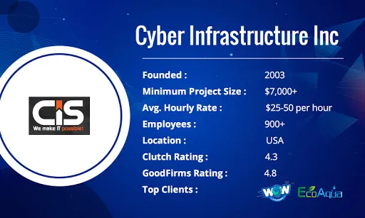 cyber infrastructure