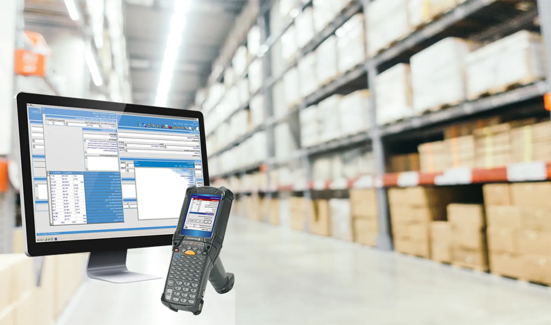 7 Believable Reasons Why Warehouse Management Software Is Important for Global Businesses?