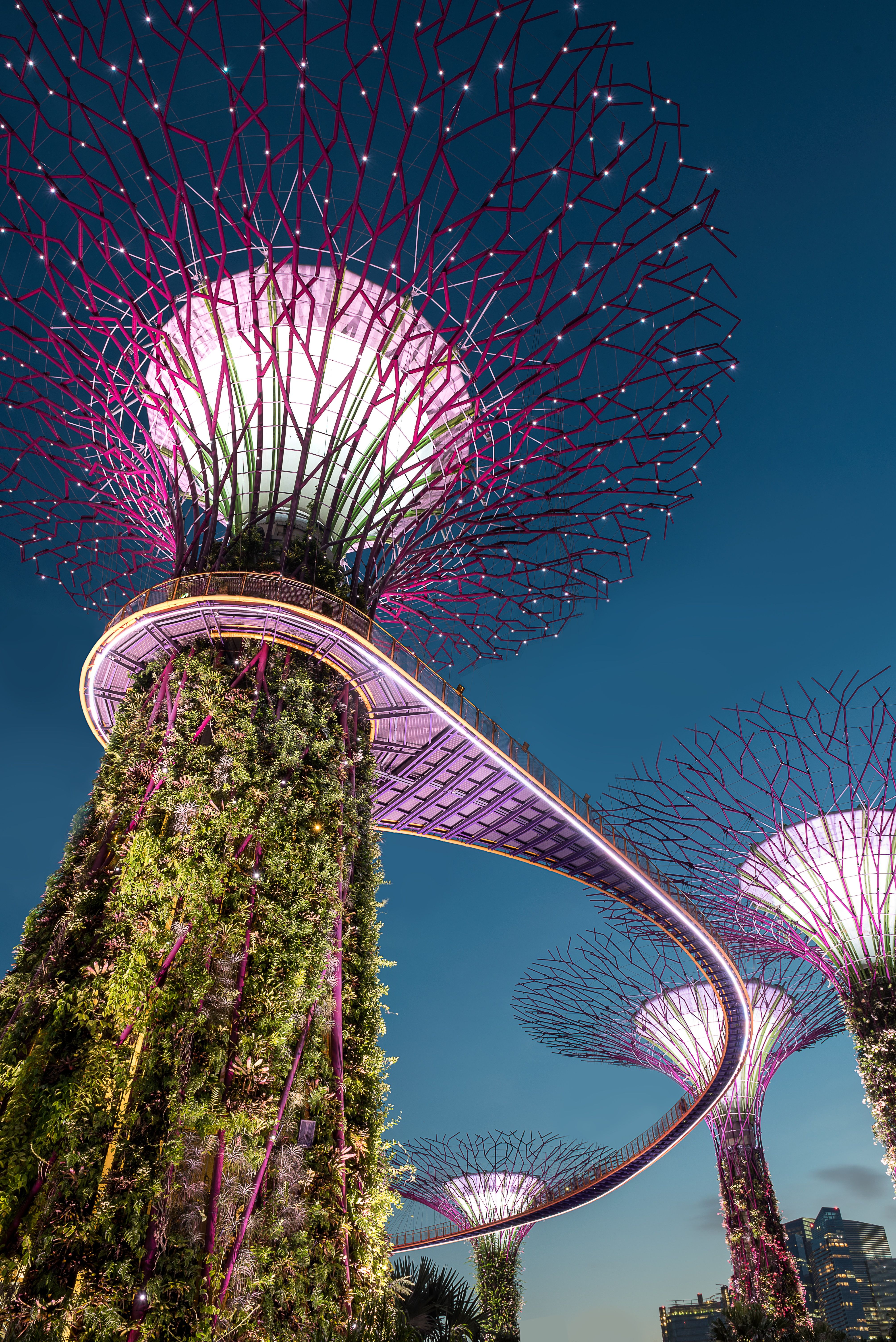 5 Business trends to follow in Singapore