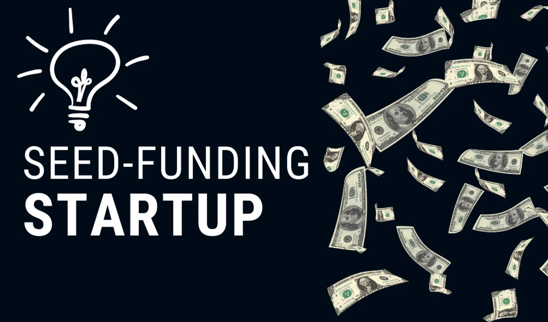 What Is Seed-Funding In Startup And How Does It Work?