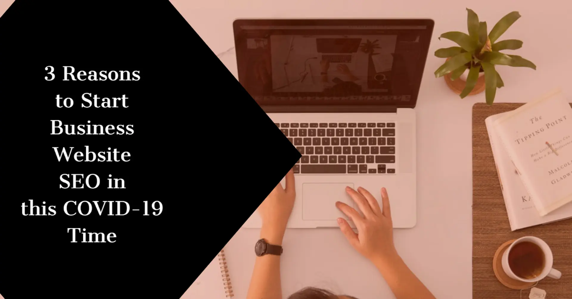 3 Reasons to Start Business Website SEO in This COVID-19 Time