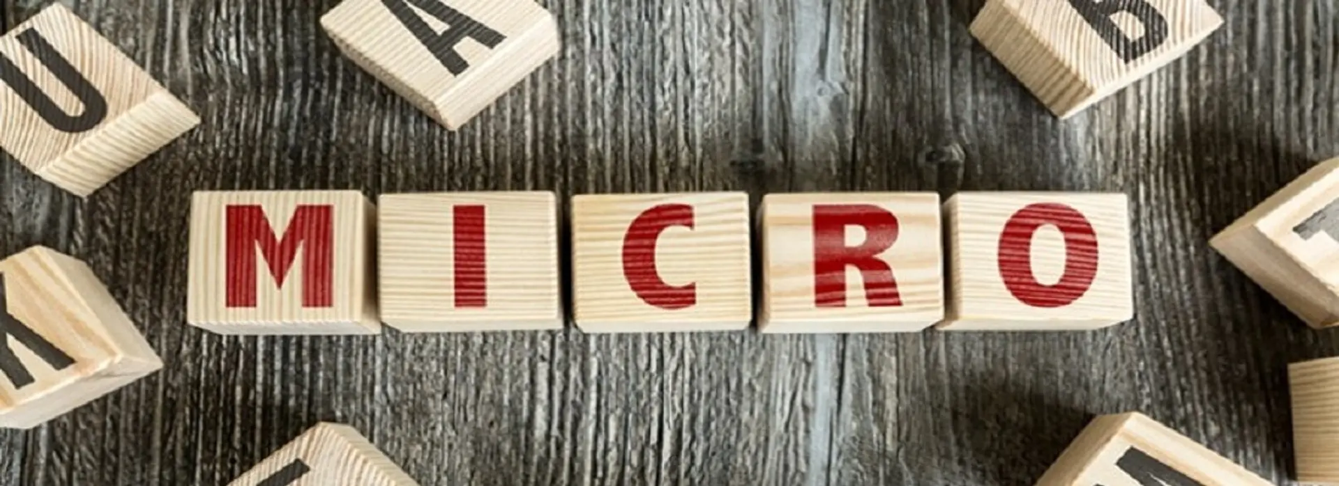 Microfinance Company: Concept and Process for Registration