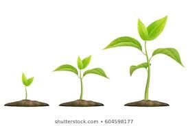 How to increase business growth with digital marketing strategies? 