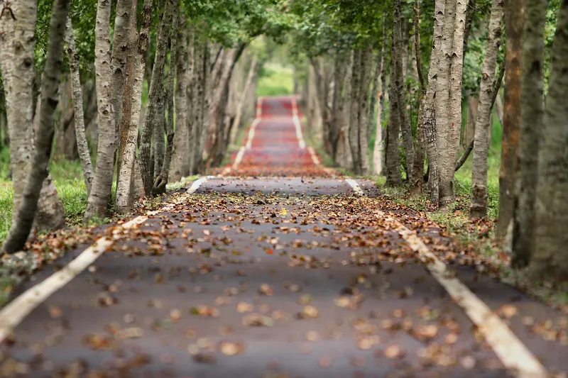 Path