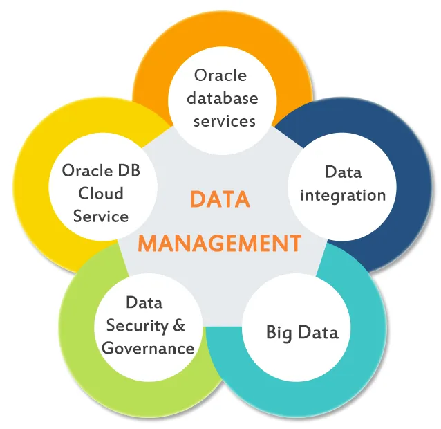 Who is the best 5 Database Management Company in India? | YourStory