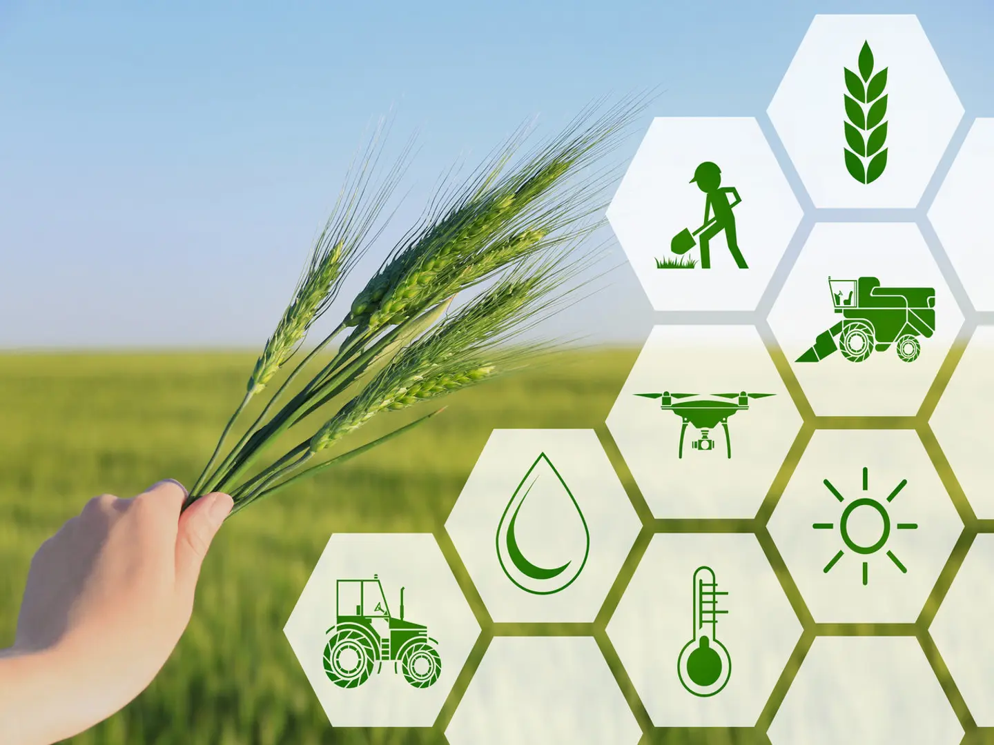 Dark Side of Agri-Tech Industry