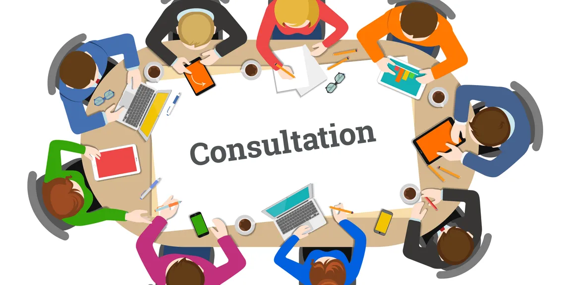 Why companies need consultation?