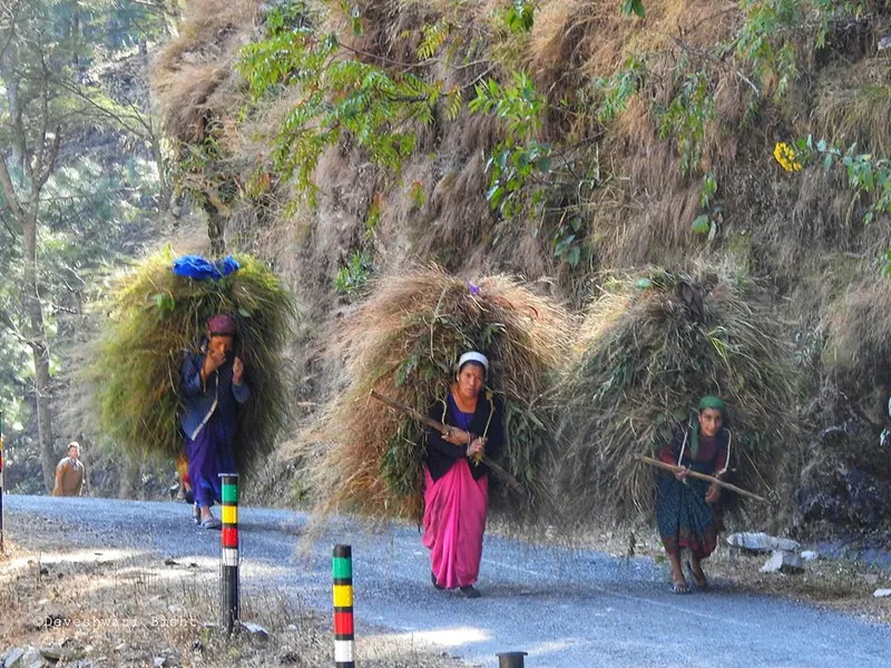 देवेश्वरी बिष्ट के कैमरे का एक खूबसूरत कमाल