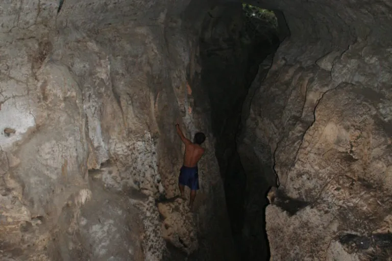 अंडमान में एक चूना पत्थर की गुफा की खोज में वैज्ञानिक। तस्वीर- SACON