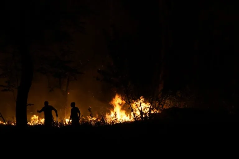 मई 2022 में हिमाचल प्रदेश के पालमपुर के पास जंगल की आग। तस्वीर- सुमित महार/हिमाधरा कलेक्टिव