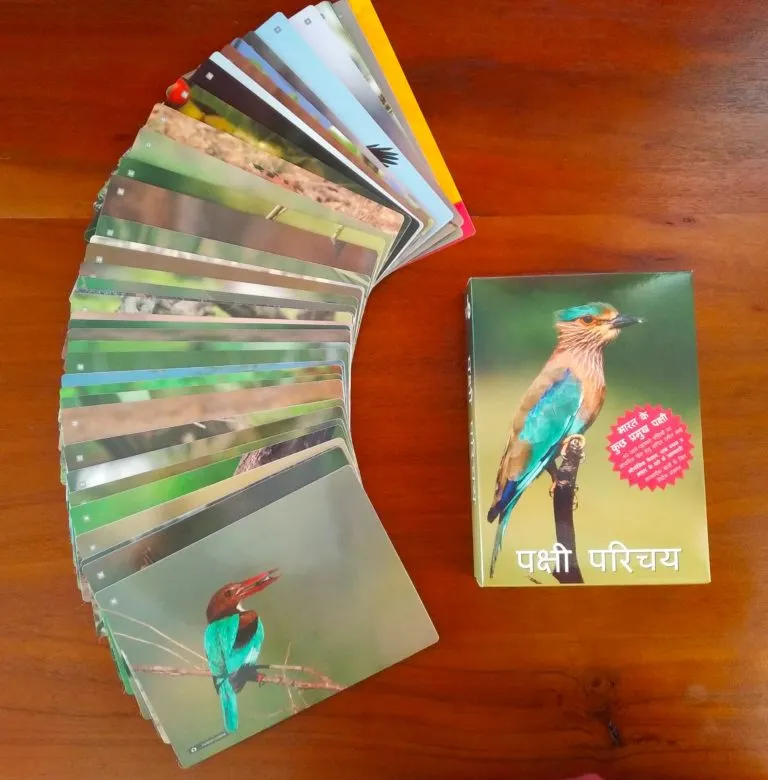 ‘पक्षी- परिचय’ नाम के इस खेल में 40 रंग-बिरंगे कार्ड हैं। तस्वीर- अर्ली बर्ड