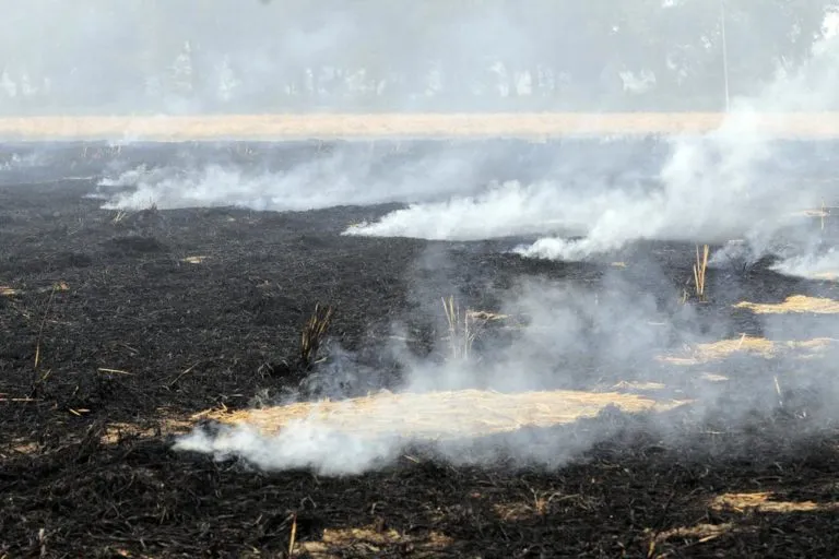 संगरूर, दक्षिण पूर्व पंजाब के आसपास गेहूं की रोपाई के लिए जमीन तैयार करने के लिए फसल के बाद पराली को जलाया जाता है. तस्वीर– 2011CIAT / नील पामर / फ़्लिकर