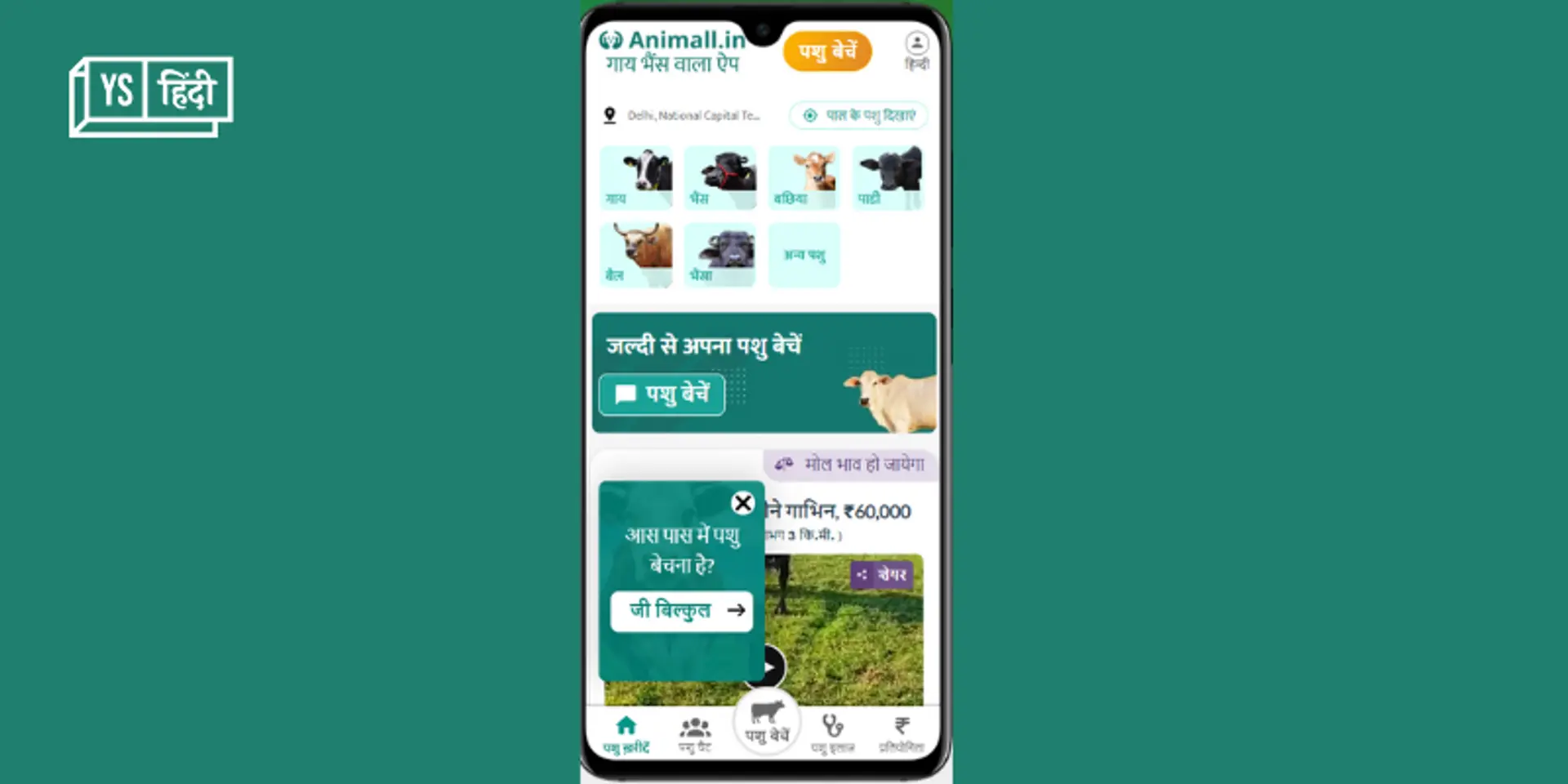 पशुपालकों के लिए क्यों जरूरी है Animall ऐप? जानिए क्या है इसके खास फीचर