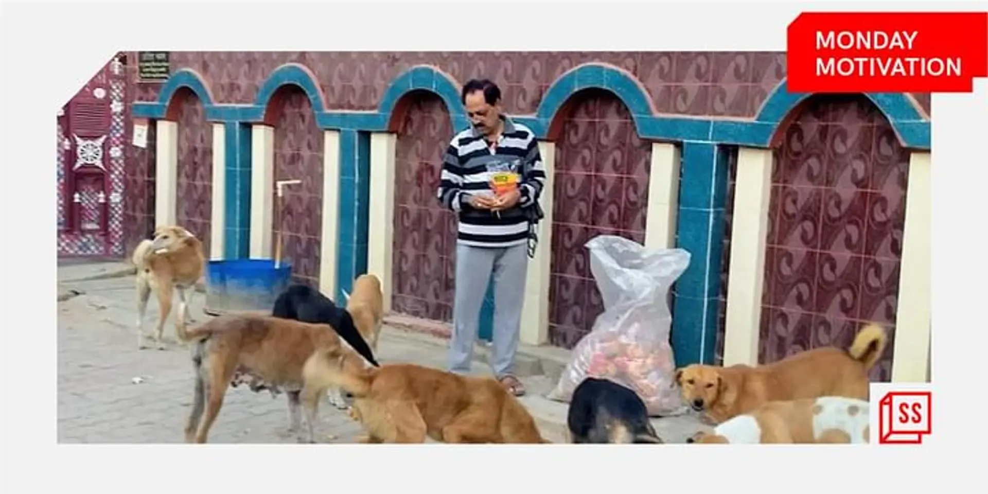 मिलें उस शख्स से जो बीते 26 वर्षों से हर दिन आवारा पशुओं को खिला रहा है खाना