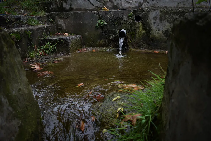 पाल बाग नाग का आउटलेट. पानी गली के नीचे स्थित कई घरों के लॉन से होकर गुजरता है, जहां लोग अपने कपड़े धोने भी आते हैं. तस्वीर- आमिर बिन रफ़ी.
