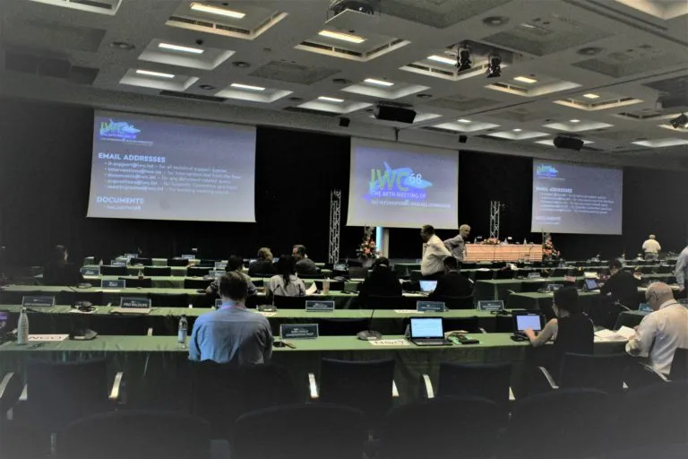 अंतर्राष्ट्रीय व्हेलिंग आयोग सम्मेलन (IWC68) अक्टूबर 2022 में स्लोवेनिया में आयोजित किया गया था। शारदा बालासुब्रमण्यन / मोंगाबे द्वारा फोटो।