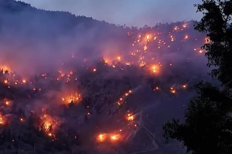 हिमाचल के किन्नौर जिले के जंगी गांव के पास जंगल क्षेत्र में 12 जून को लगी आग। तस्वीर- विशेष प्रबंध