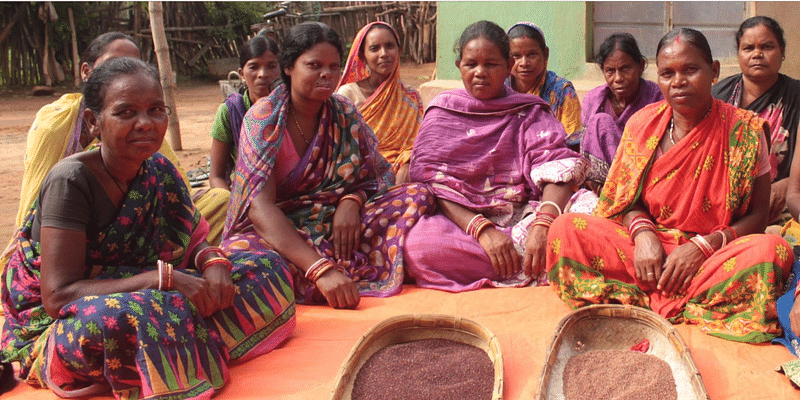 मोटे अनाज की खेती से बदल रही ओडिशा की आदिवासी महिलाओं की जिंदगी